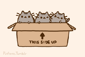 Pusheen déménage