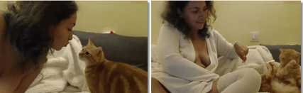 ninetwenty camgirl cat